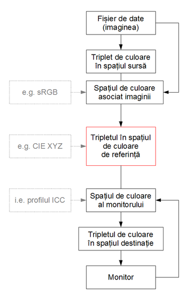 Fişier:Profil ICC.png