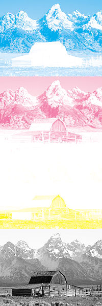 Fişier:CMYK separation - maximum black.jpg